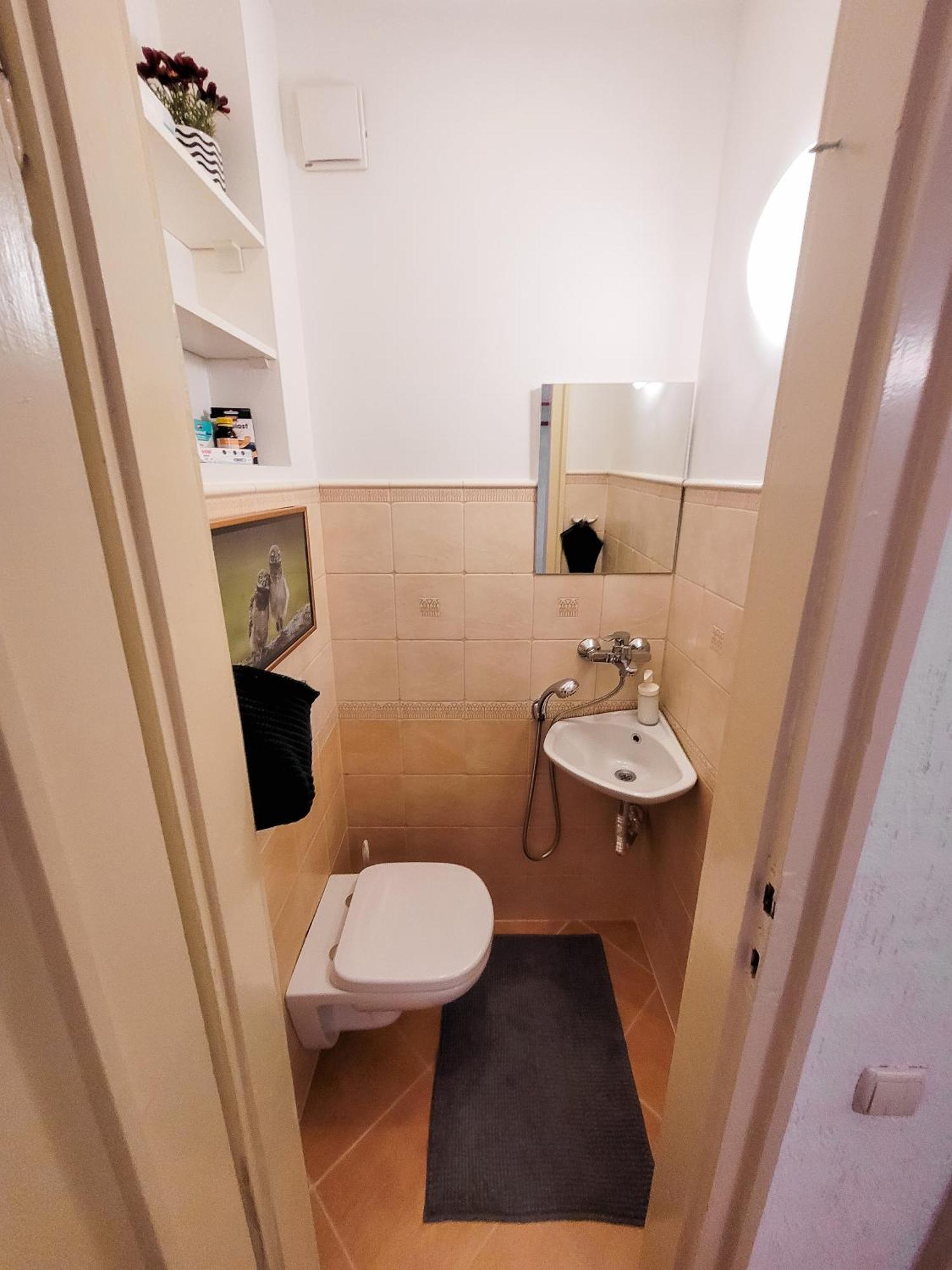 Spacious 1 Bed Flat Near Vitosha Blvd