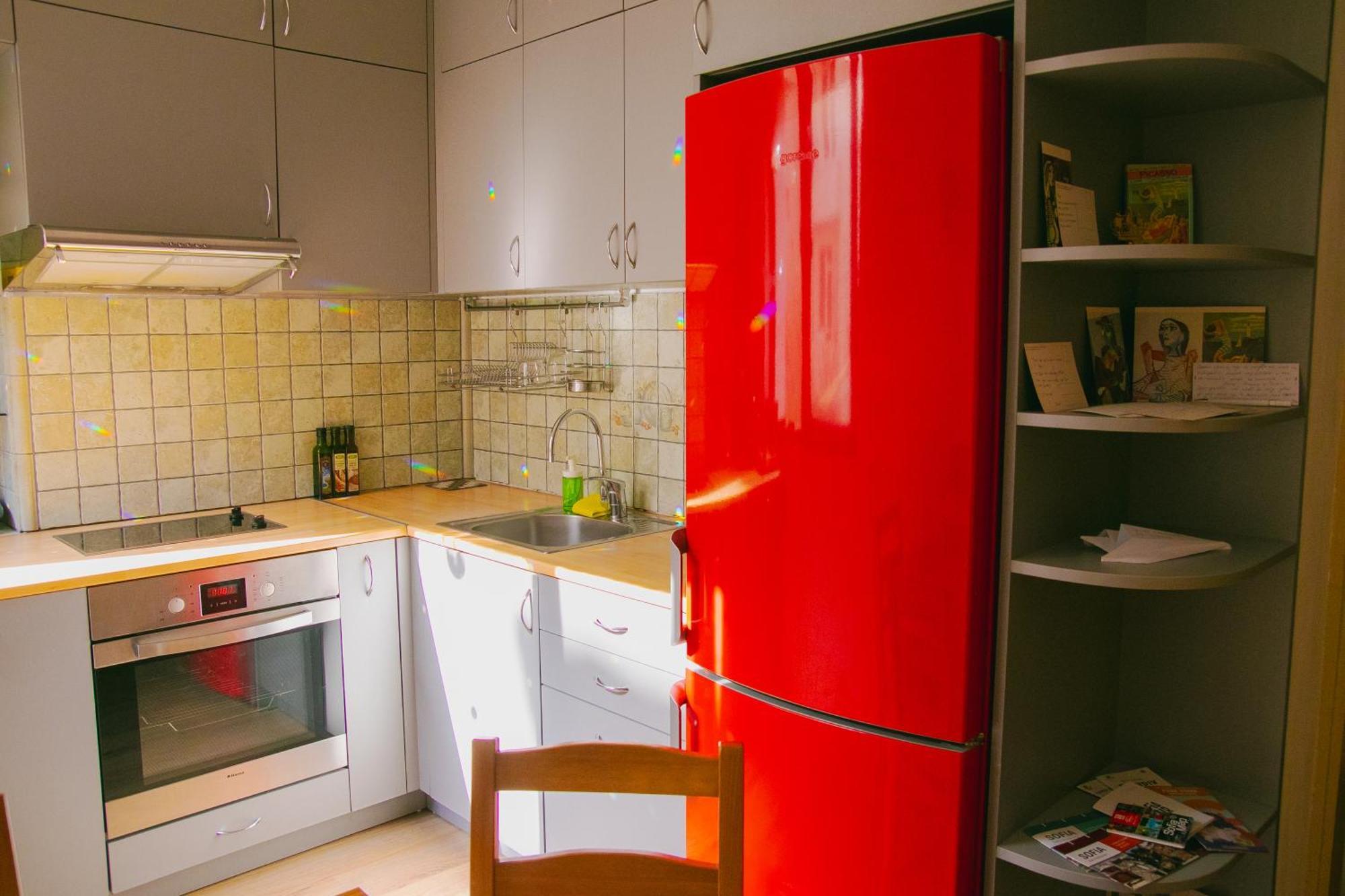 Spacious 1 Bed Flat Near Vitosha Blvd Apartment *