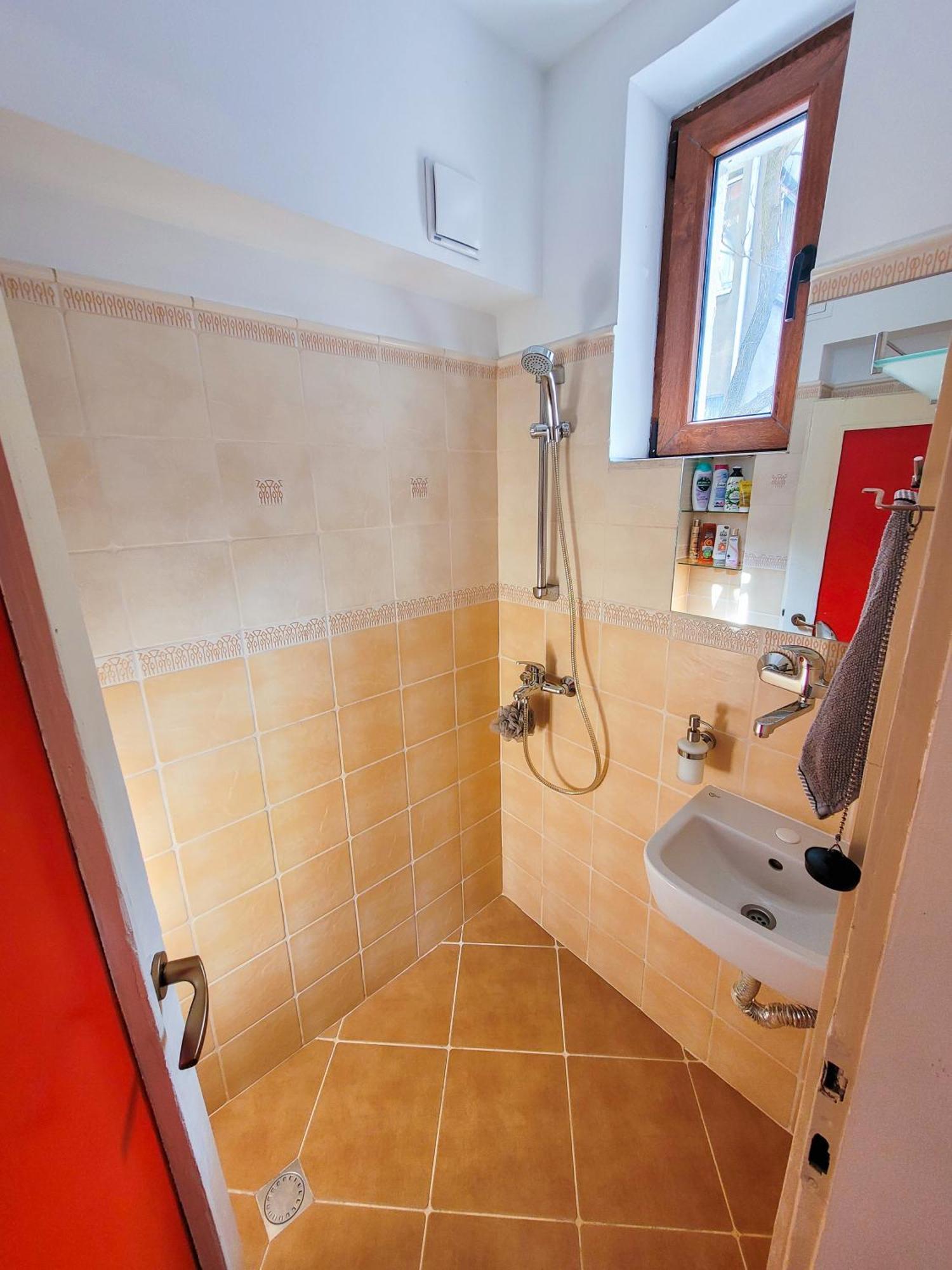 Spacious 1 Bed Flat Near Vitosha Blvd Apartment